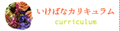 いけばなカリキュラム